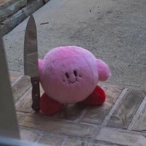 Meet your Posher, Ella